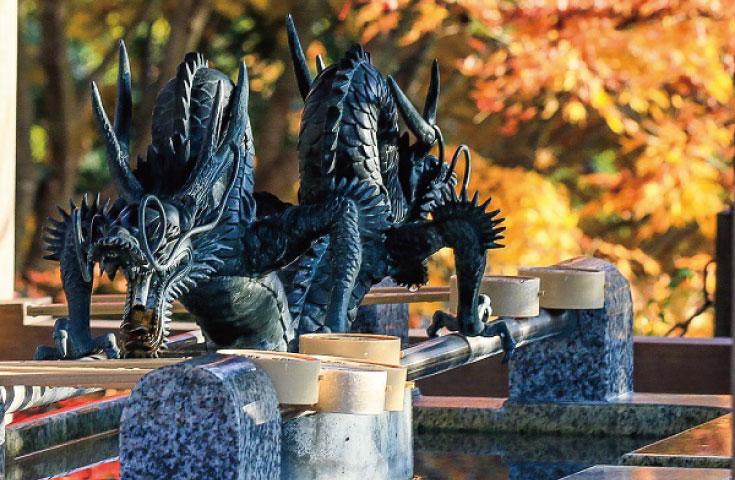 ツアーポイント