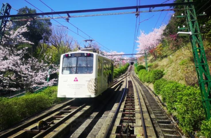 ツアーポイント
