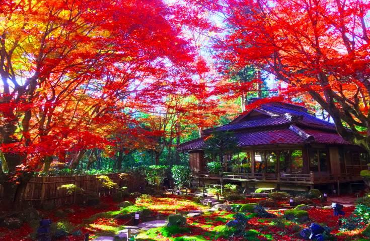 ツアーポイント
