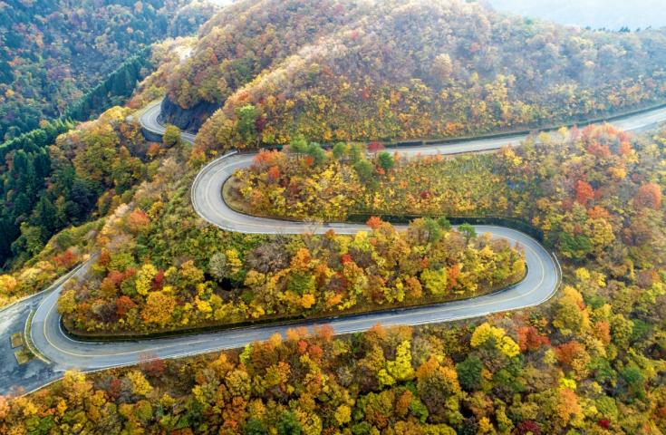 秋の伊吹山①