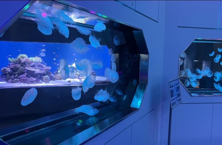 ツアーポイント