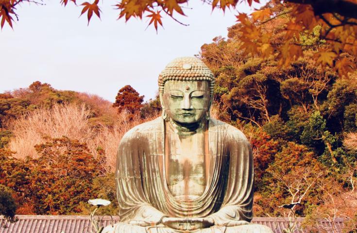 鎌倉大仏と紅葉が見られます。