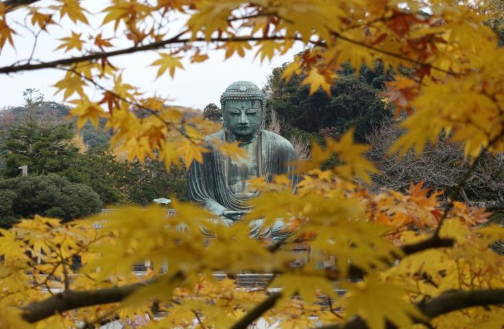大仏は遠くから見えます。