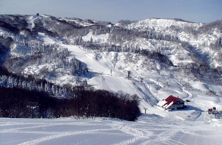 ツアーポイント