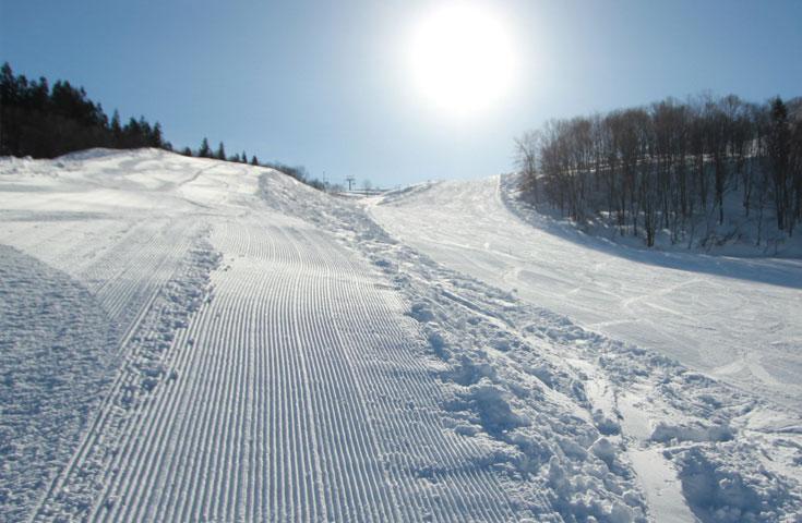 ツアーポイント