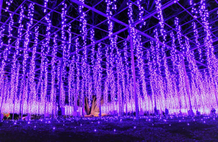 ツアーポイント