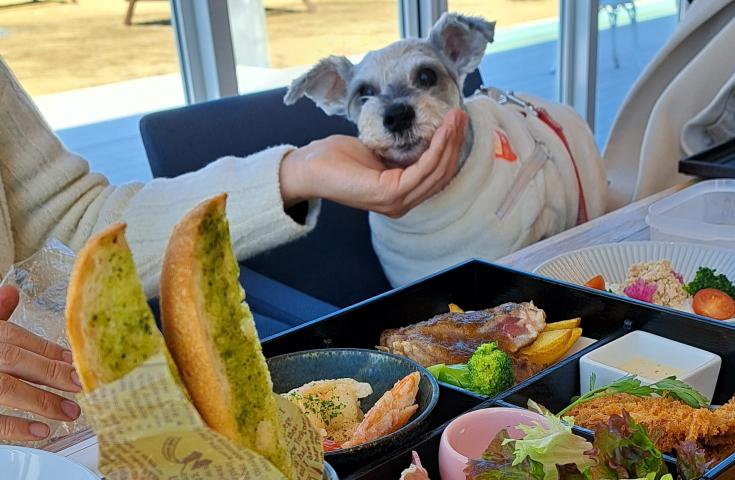 ツアーポイント