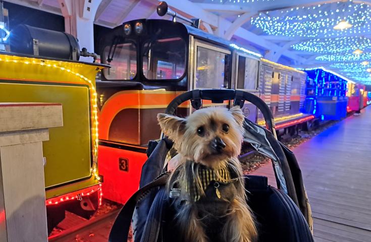 ツアーポイント