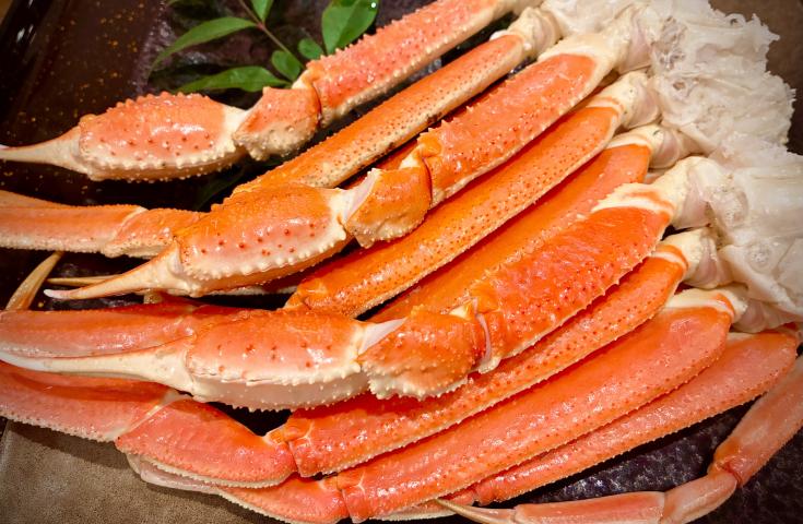 食べ放題（セクション）