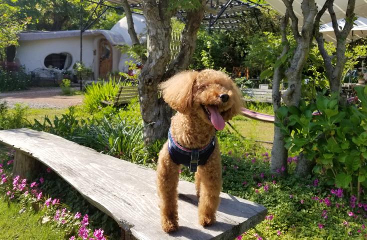 ツアーポイント