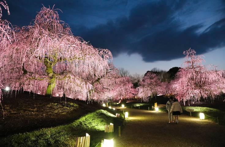 ツアーポイント