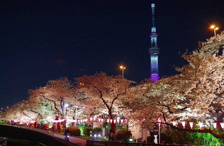 ツアーポイント