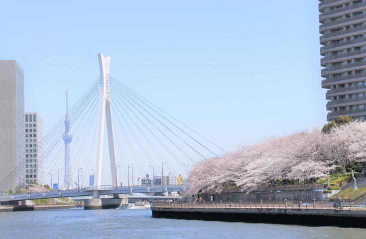 ツアーポイント