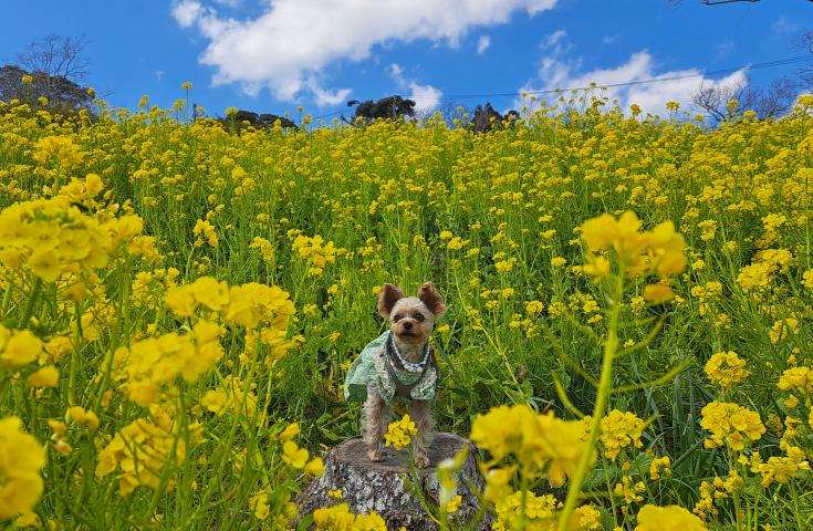 ツアーポイント