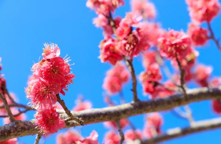 ツアーポイント