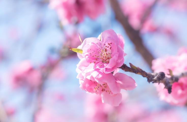 ツアーポイント