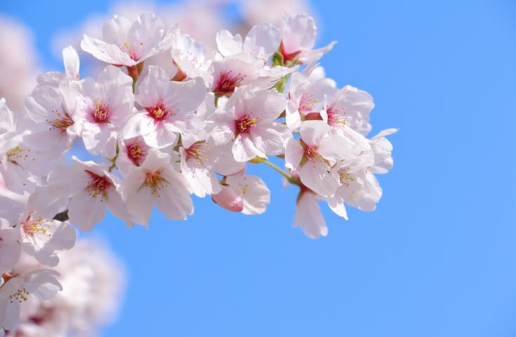 ツアーポイント