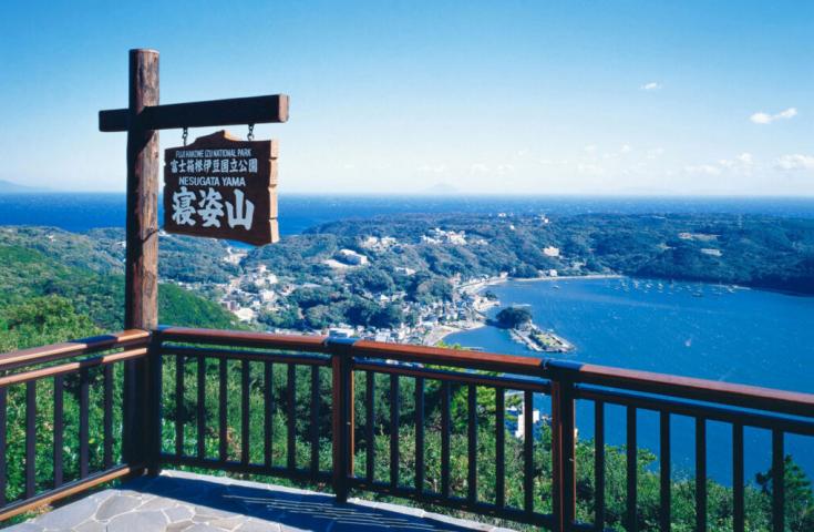 ツアーポイント