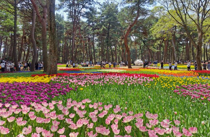 ツアーポイント