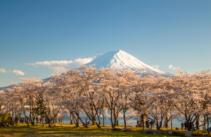 ツアーポイント