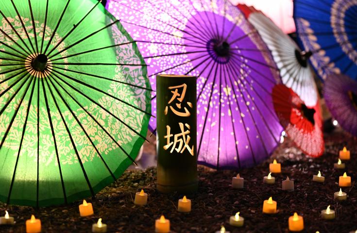 ライトアップイベント『希望の光』