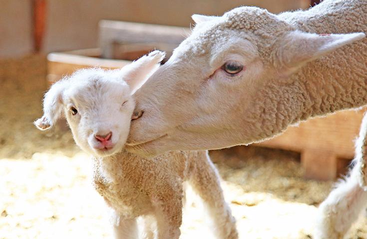 ツアーポイント