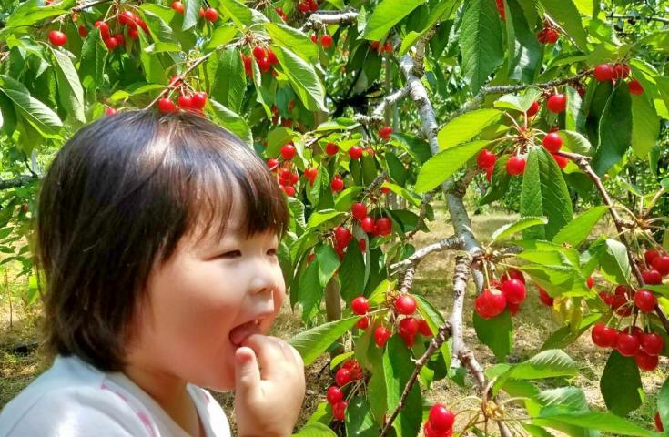 ツアーポイント