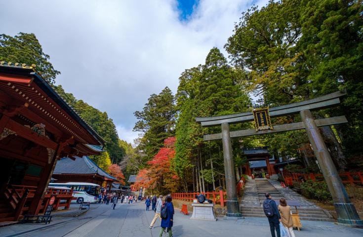 日光散策（イメージ）