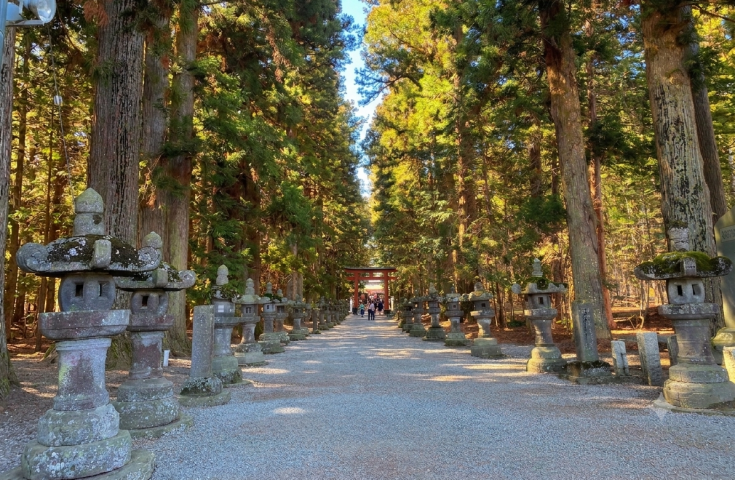 北口本宮冨士浅間神社(参道)