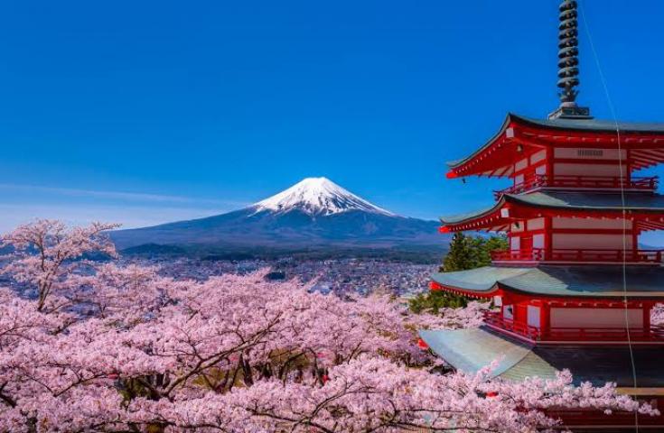 五重塔と富士山のコラボレーション