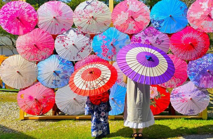 和傘が織りなす異空間