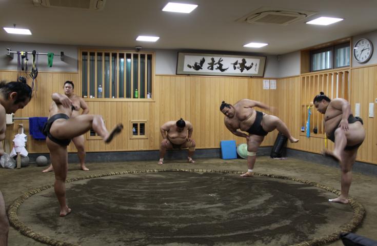 現役プロ力士達の本気の稽古を間近で見学