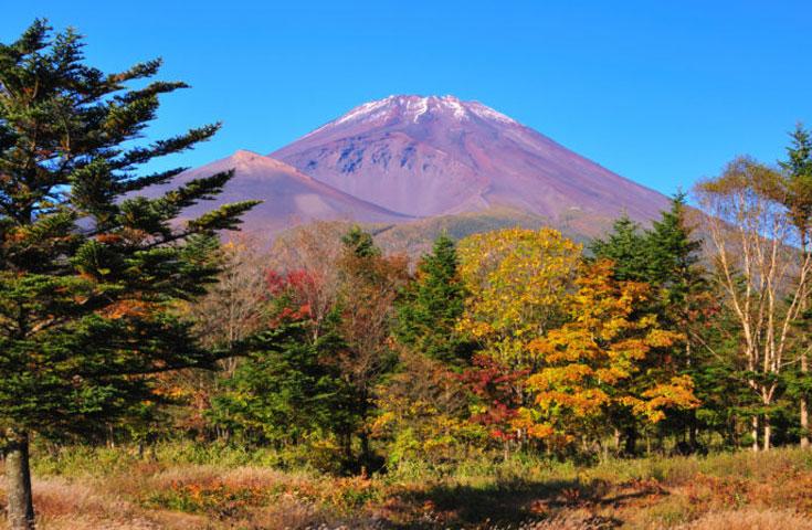 紅葉に染まる富士山