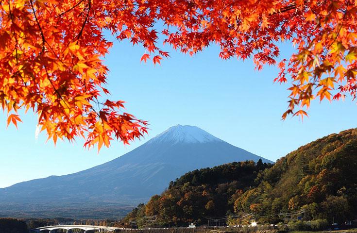 河口湖の紅葉/イメージ（10月下旬から11月）