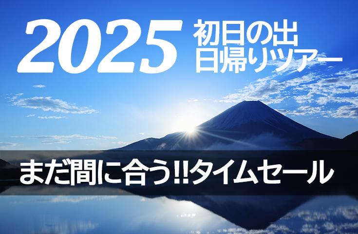 ☆本日22時までタイムセール☆[新宿発]≪先着限定10名様!!≫元旦旅初め 