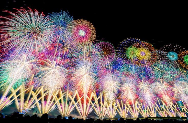 夜空を彩る、芸術の花。