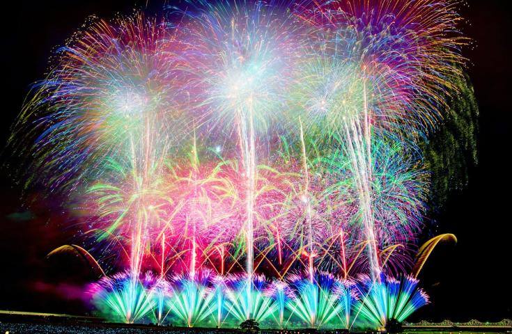 夜空を彩る、芸術の花。息をのむ美しさ。