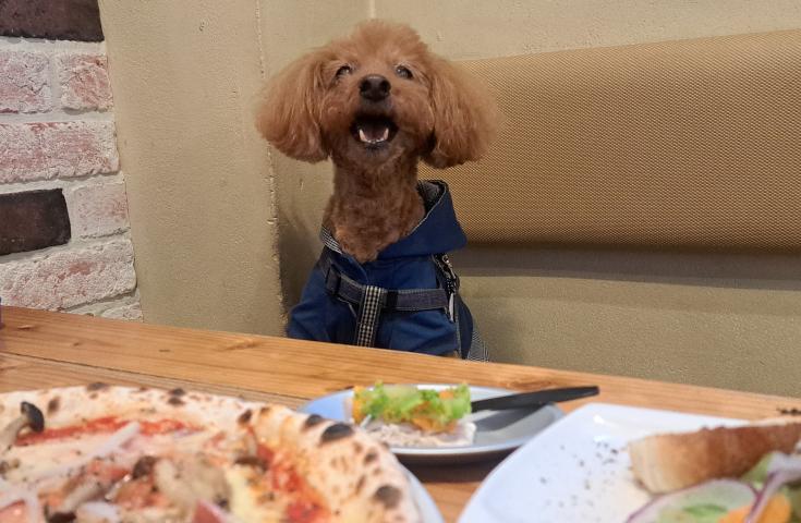 ツアーポイント