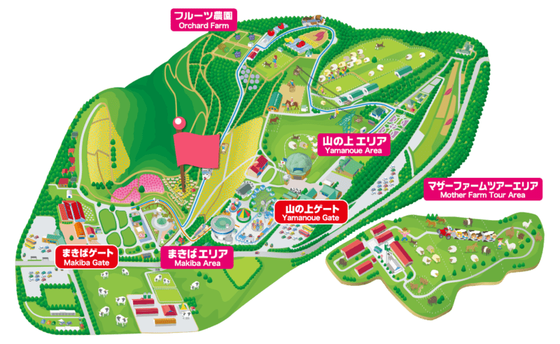 MAPロウバイ