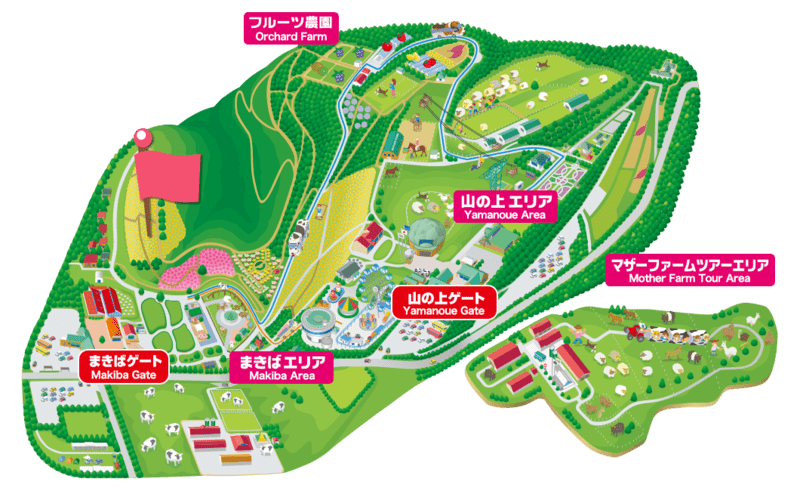 MAPサルビア