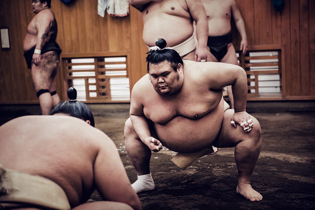 相撲部屋朝稽古見学