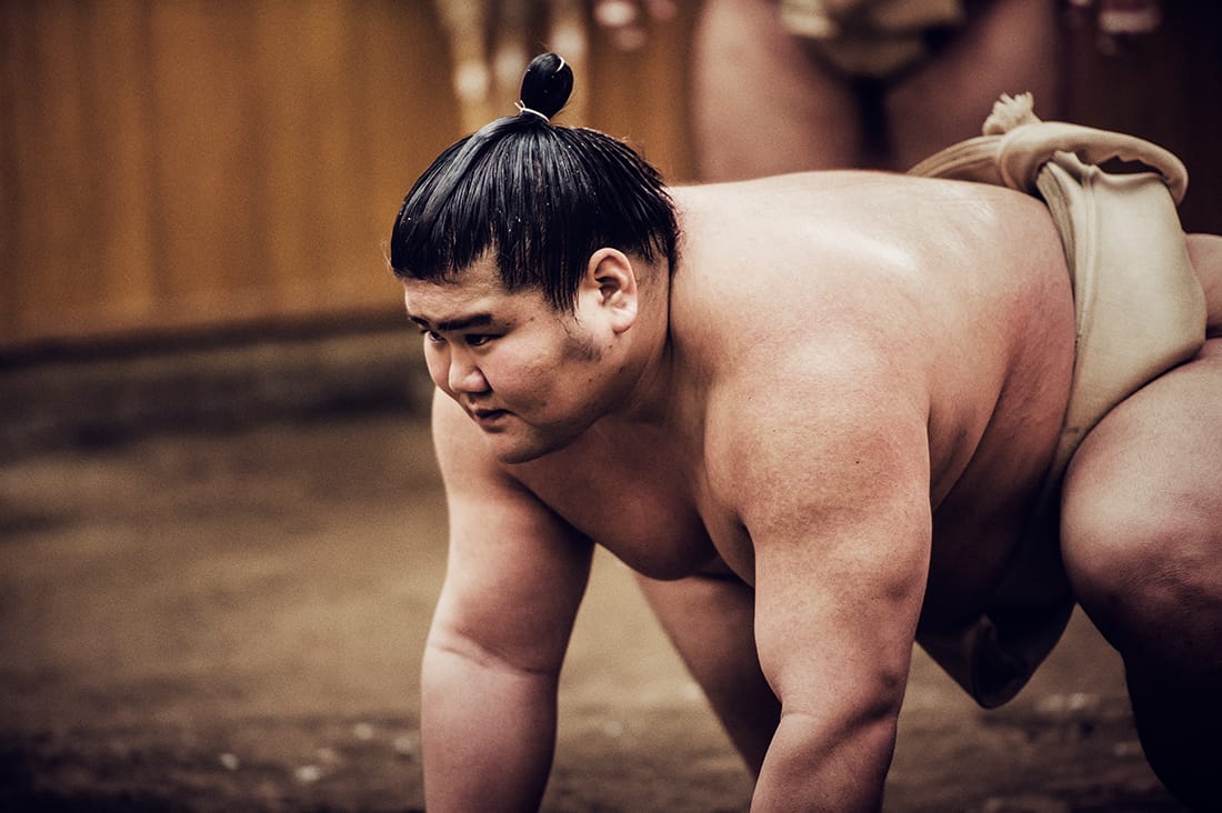 相撲部屋朝稽古見学